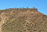 IMG 0689 (2)