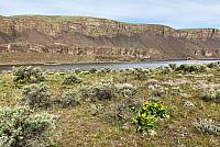 IMG 0708 (2)