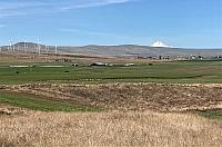 IMG 0741