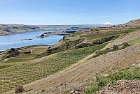 IMG 0757