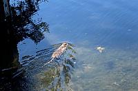 IMG 0770