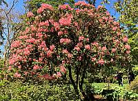 IMG 0779 (2)