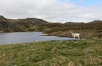 IMG 9565