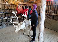 IMG 9569