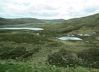 IMG 9615