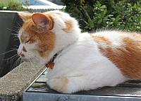 IMG 9919