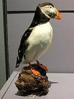 IMG 9949