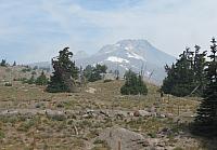 IMG 0002