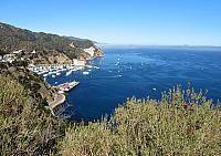 IMG 0124