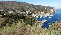 IMG 0130