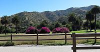 IMG 0143