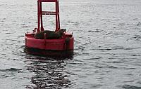 IMG 0296