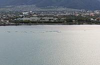 IMG 0465 - Copy