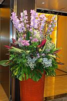 IMG 0524 - Copy