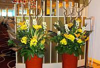 IMG 0525 - Copy