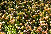 IMG 0980