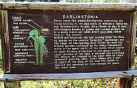 IMG 0981