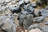 IMG 1022