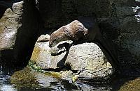 IMG 1073
