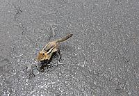 IMG 1099