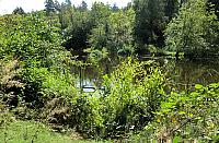 IMG 1219