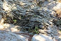 IMG 1461