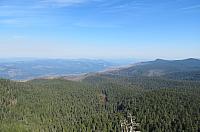 IMG 1464