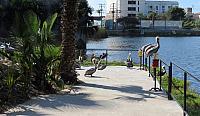 IMG 1866