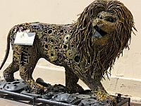IMG 1729