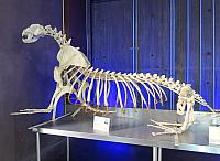 IMG 1833