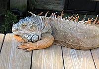 IMG 1915