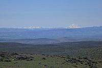 P1130883 - Copy