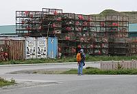IMG 2420