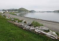 IMG 2445