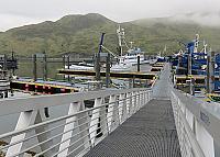 IMG 2448
