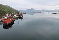 IMG 2453