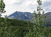 IMG 2612