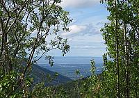IMG 2614