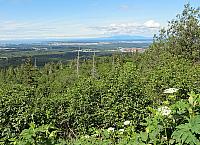 IMG 2615
