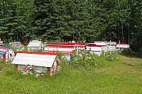 IMG 2630
