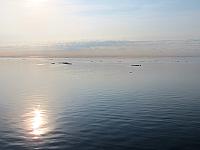 IMG 2486