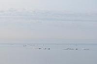 IMG 2491