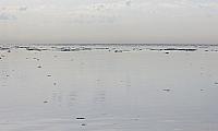 IMG 2496