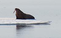 IMG 2514