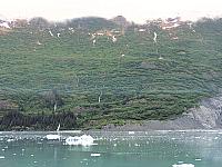IMG 2382