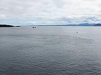 IMG 2554