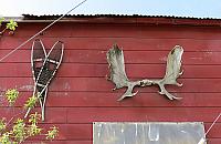 IMG 2461