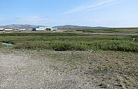 IMG 2470