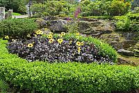 IMG 2933