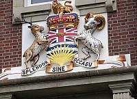 IMG 2940